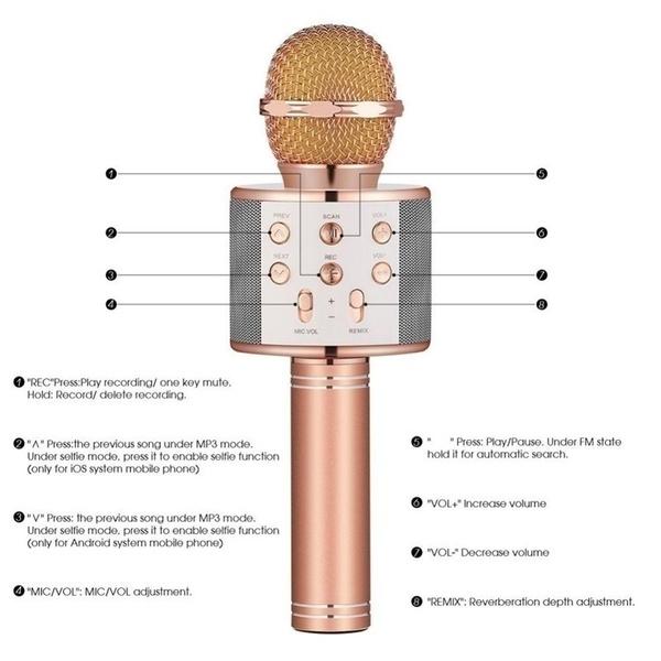Wireless Bluetooth Mic Speaker